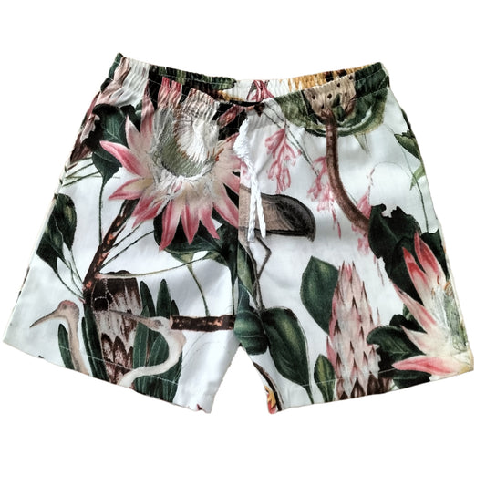 Kids Shorts Protea